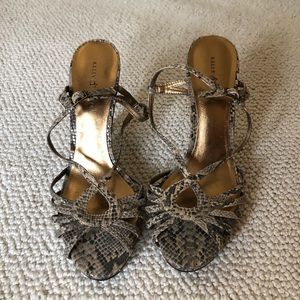 Kelly & Katie Snakeskin heels